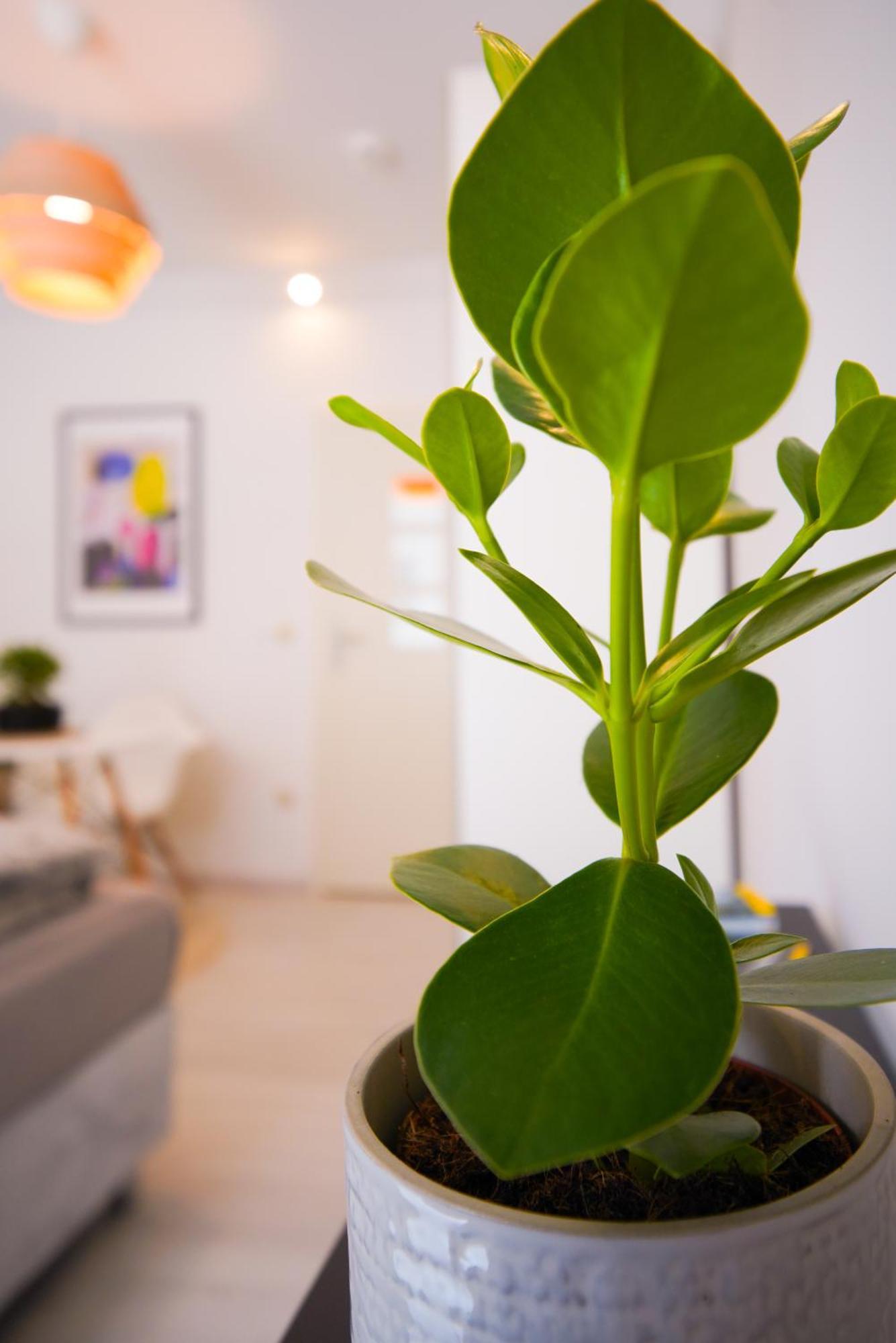 Stilvolles Apartment Im Laessigsten Viertel München Kültér fotó